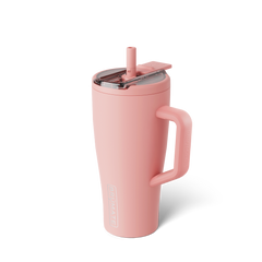 Era Flip 30oz | Guava