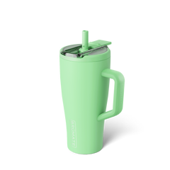 Era Flip 30oz | Kiwi