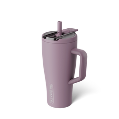 Era Flip 30oz | Lilac Dusk